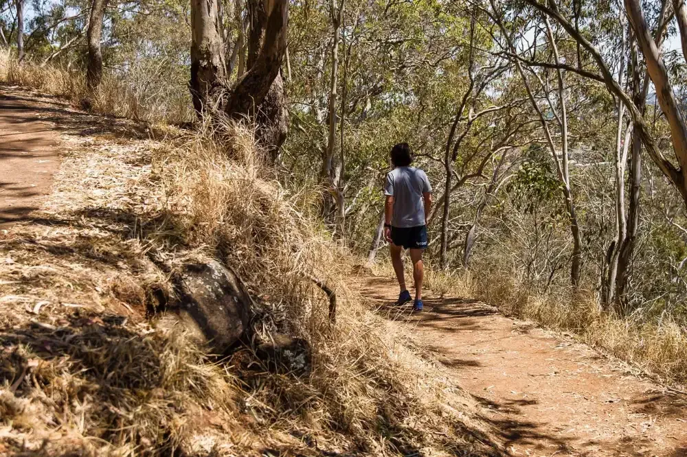 A man is jogging down a dirt path in the bush.