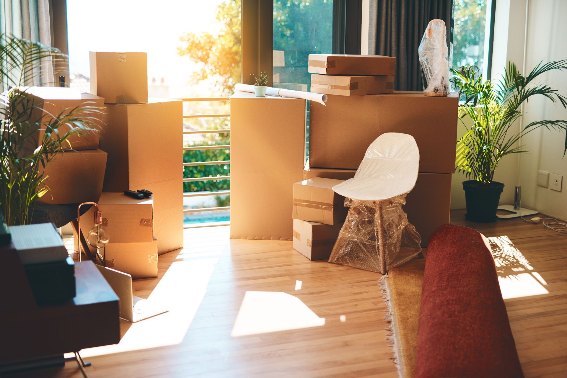 A sunlit room filled with cardboard moving boxes and a white chair, with houseplants placed near the window and floor.