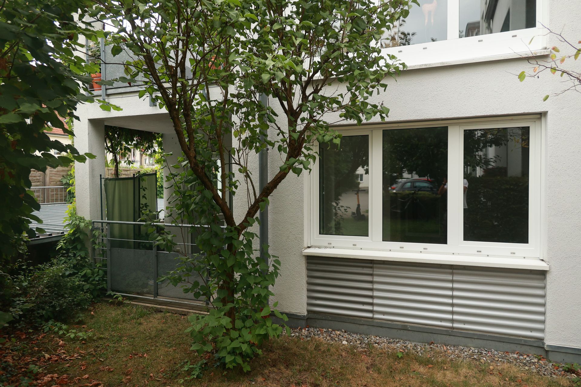 Modern house exterior with white walls and large tinted windows.