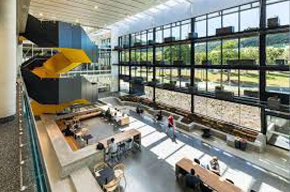 Modern Office Interior With Large Windows — Phoenix Protective & Marine Coating Specialists in Woree, QLD