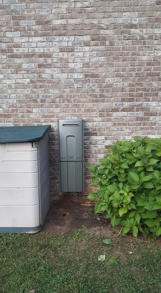 A brick wall with a shed and a bush in front of it.