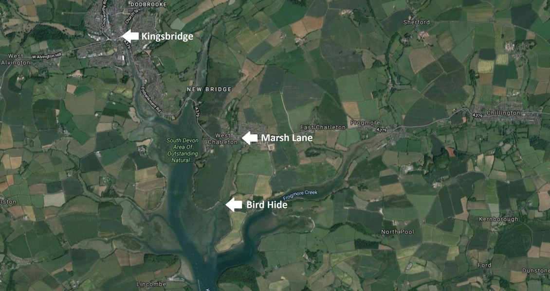 Our members are lucky to have an area of natural wetland within two miles of Kingsbridge with an excellent bird hide, mounted on a sea wall Charleton Marsh can be reached from Marsh Lane, West Charleton, either on foot or from a small car park at grid reference SX752424 The site covers 8 hectares and is the natural valley for a small stream which widens out to support an extensive reed bed before discharging, via a culvert under the sea wall and a tidal flap, into the estuary