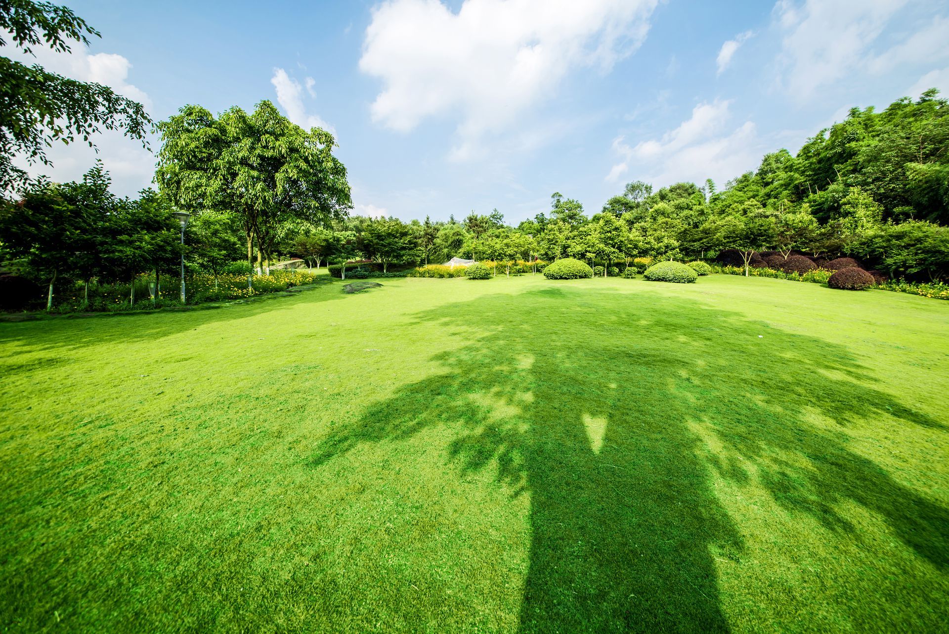 Green lawn with tree shadows, trees in the background, blue sky with clouds.