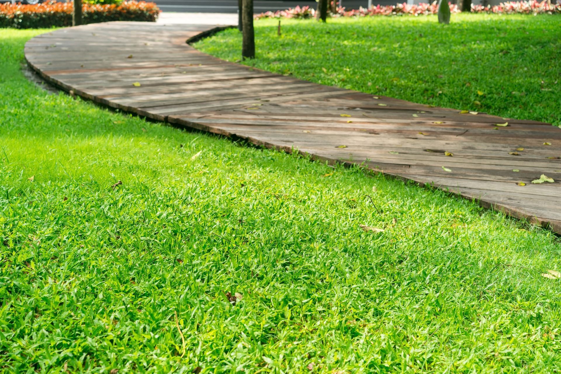 Why Regular Lawn Care and Maintenance Matters Year-Round