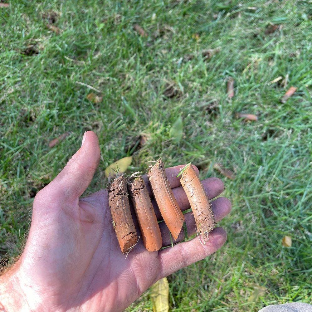 A person is holding four pieces of wood in their hand.