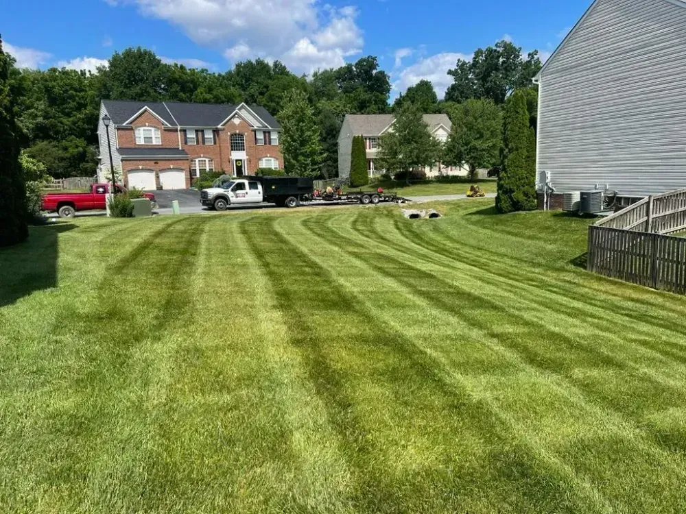 Mowed suburban lawn with striped grass, houses, parked cars, and a partly cloudy blue sky