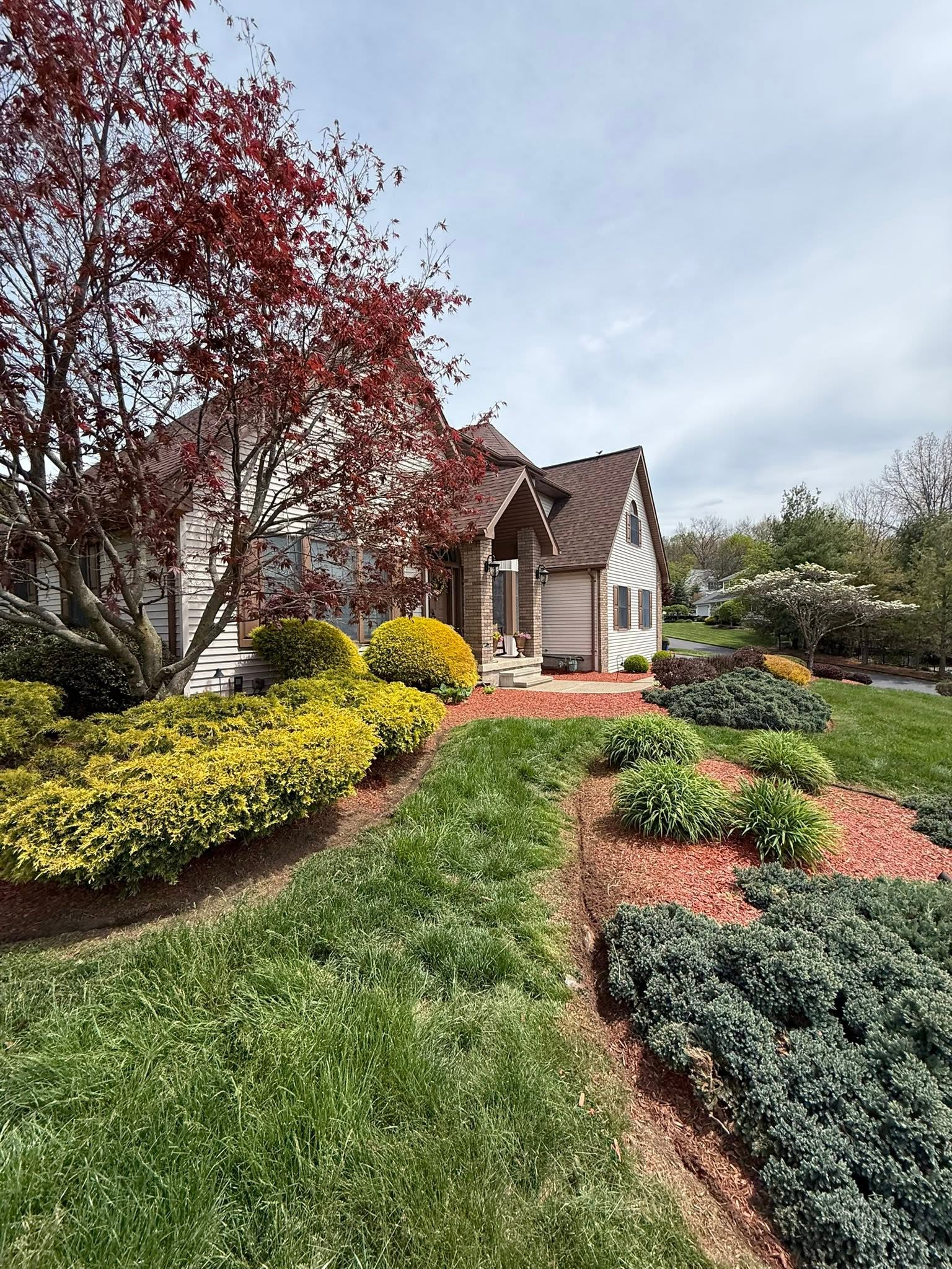 Landscaped garden path leading to a small cottage with red foliage and yellow flowers.