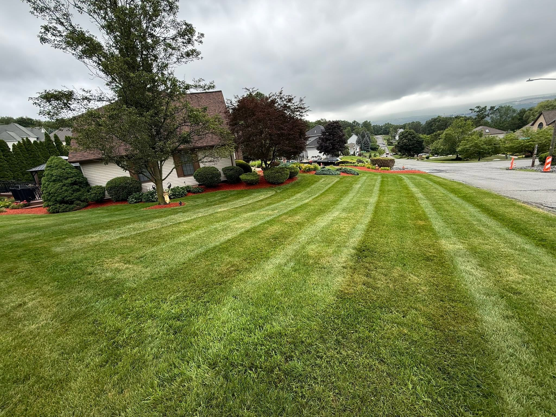 Freshly mowed lawn with striped grass beside a suburban street under cloudy skies