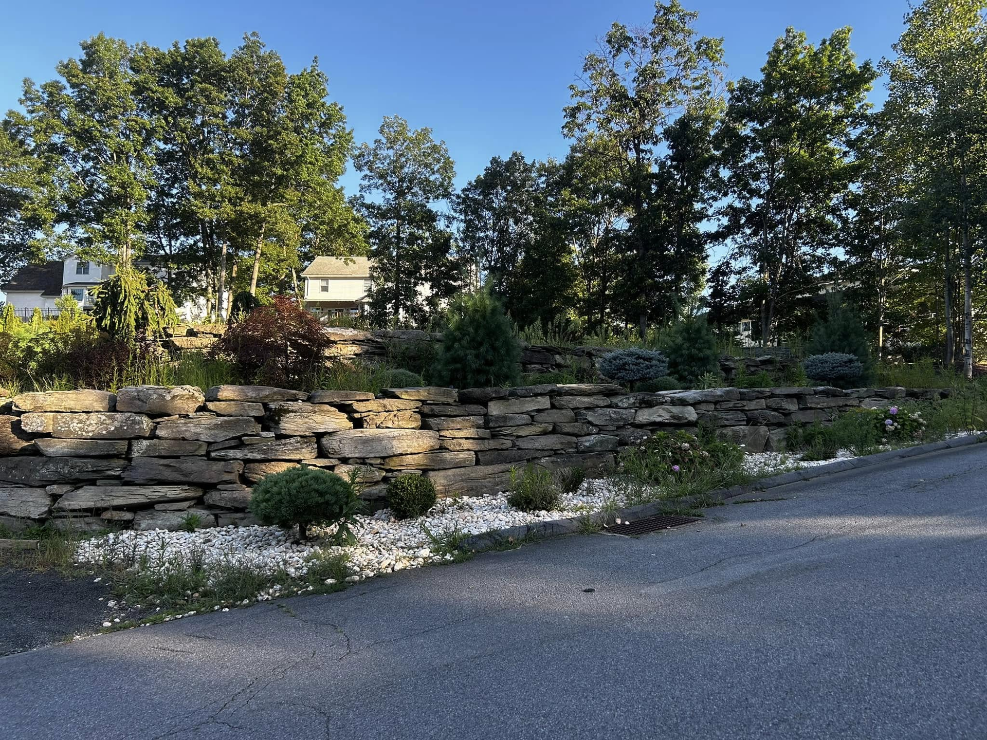 Stone retaining wall along a tree-lined roadside under clear daylight.