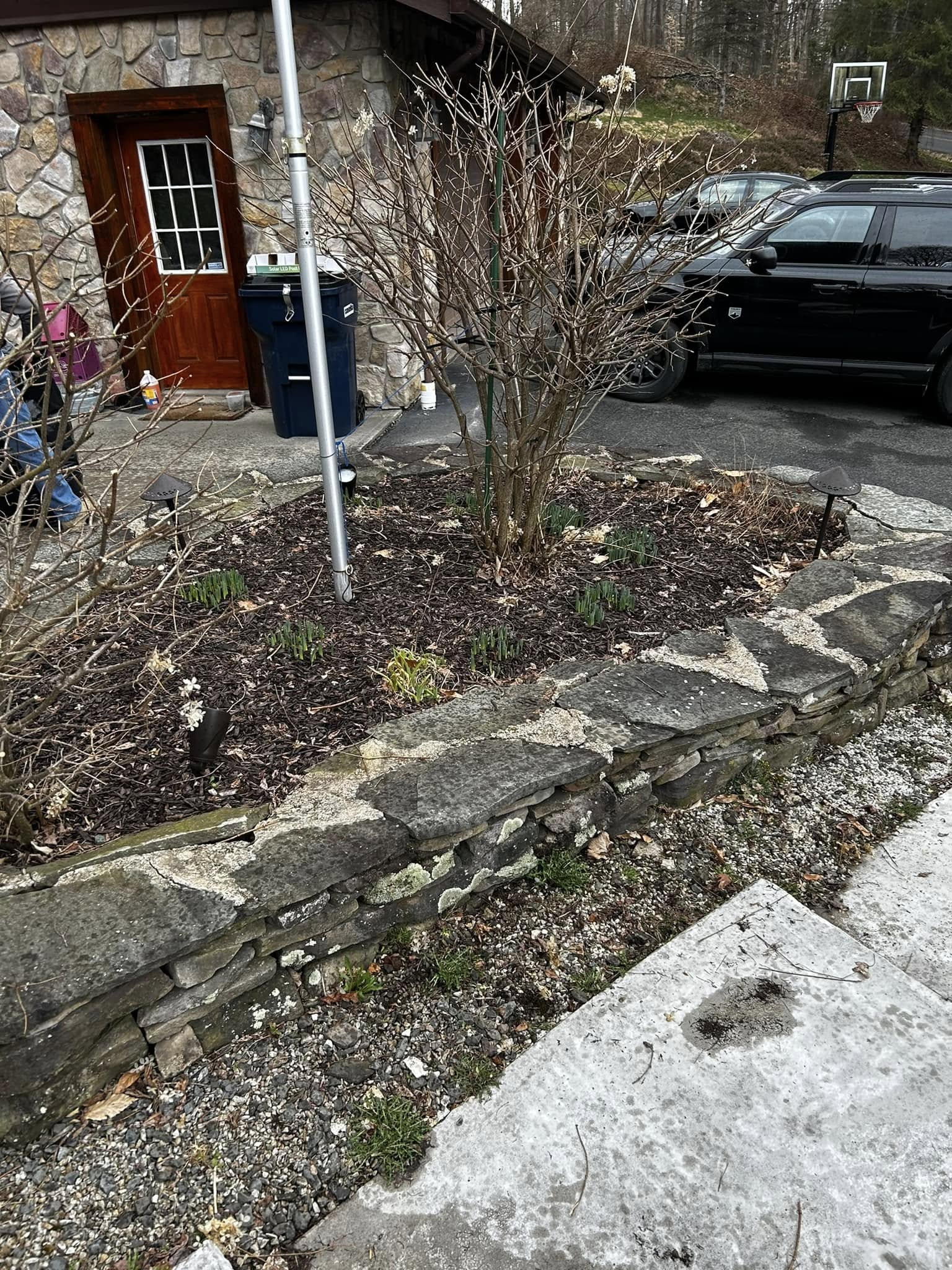 Front yard with stone wall, leafless shrubs, a blue mailbox, and a black car beside a house entrance