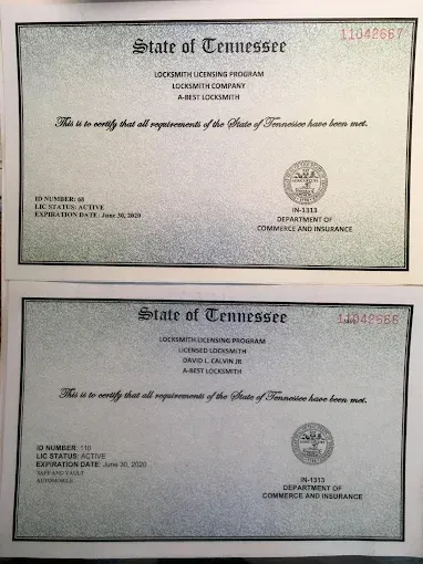 Two State of Tennessee professional licenses, both issued by the Department of Commerce and Insurance, stacked vertically.