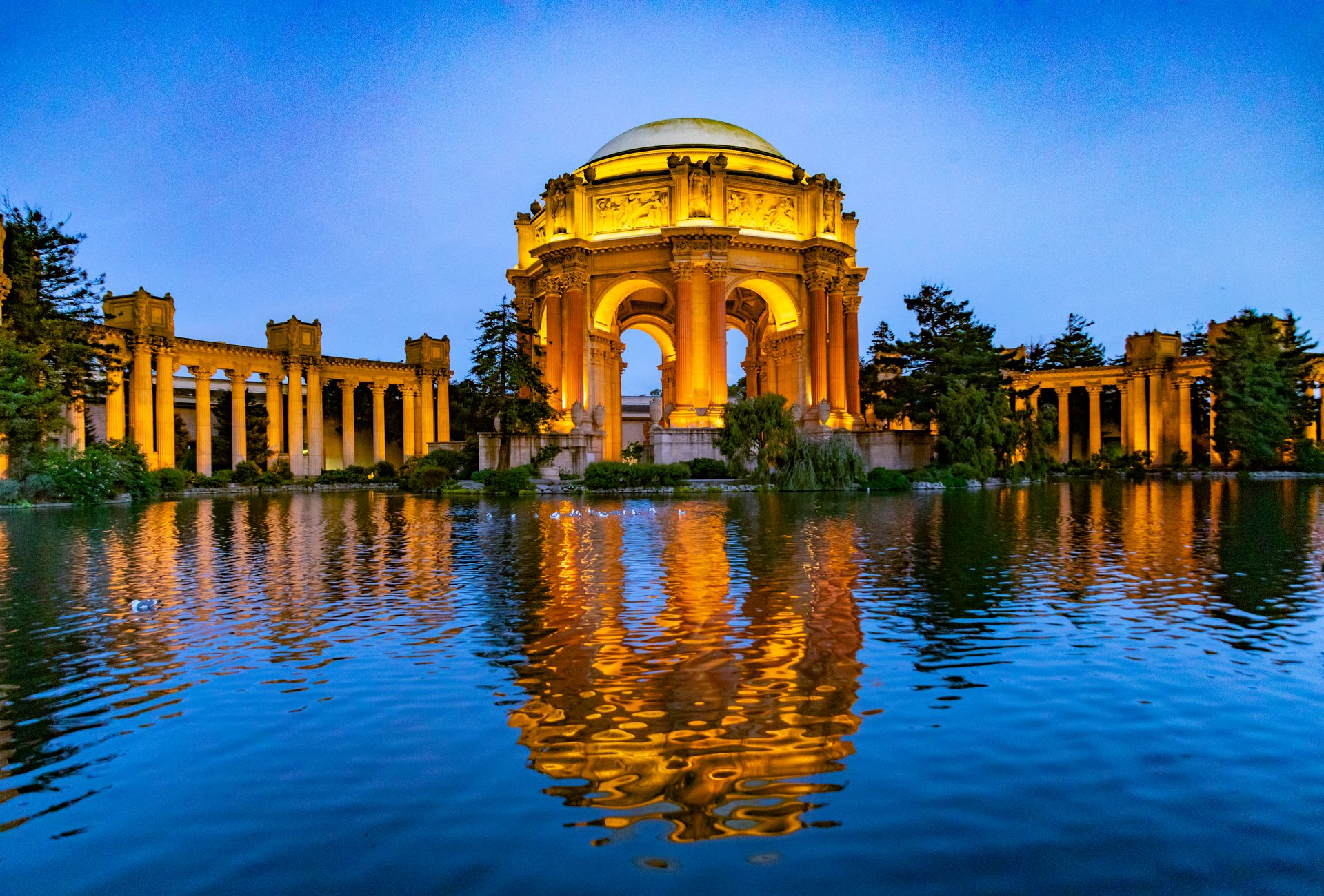 5-things-to-do-in-san-francisco-this-weekend-amsi-real-estate
