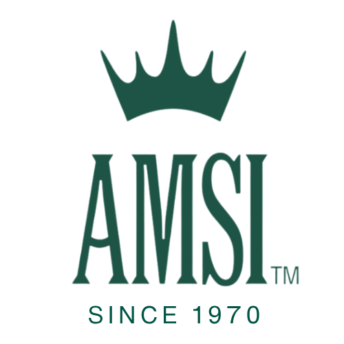 AMSI
