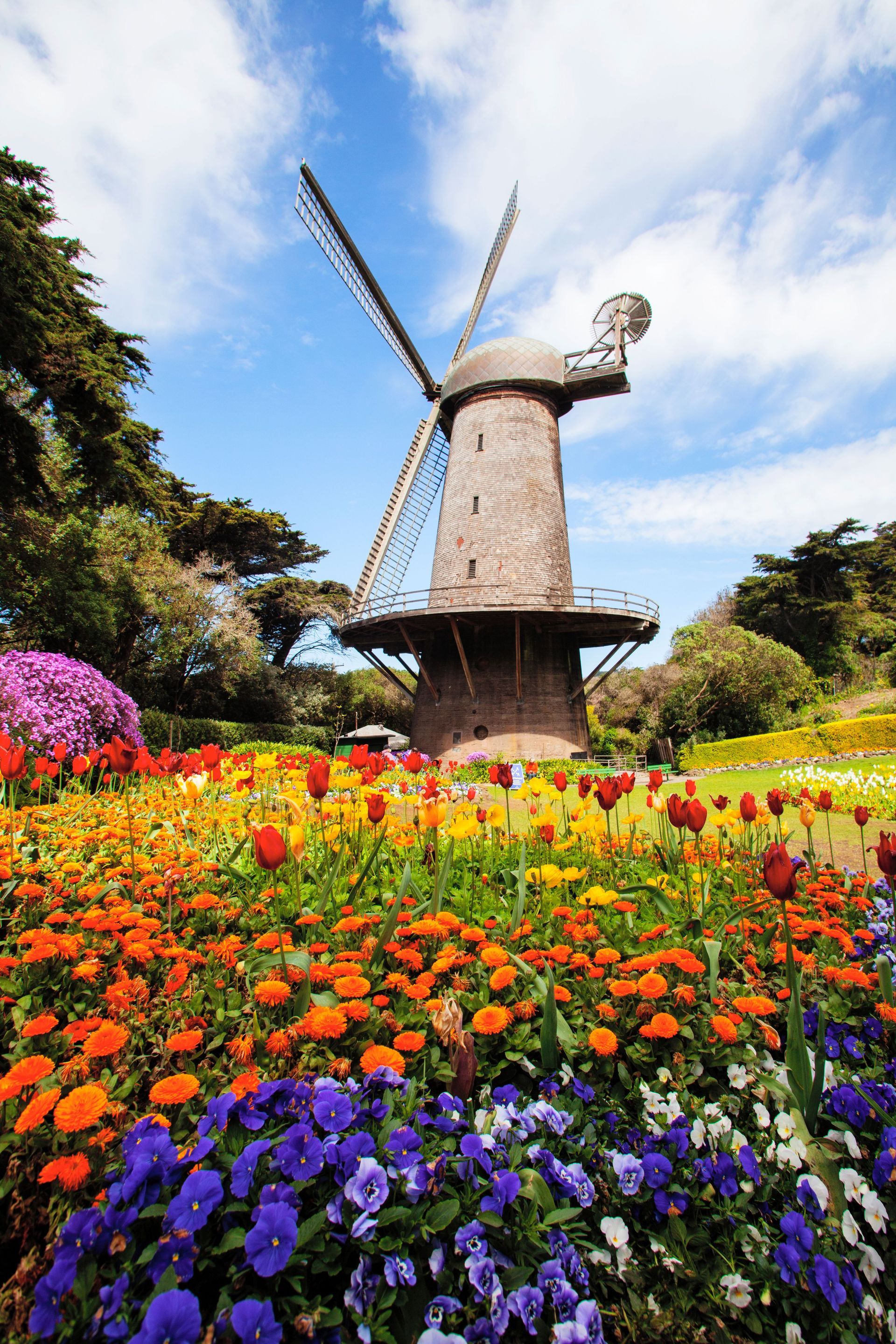 Queen Wilhelmina Tulip Garden
