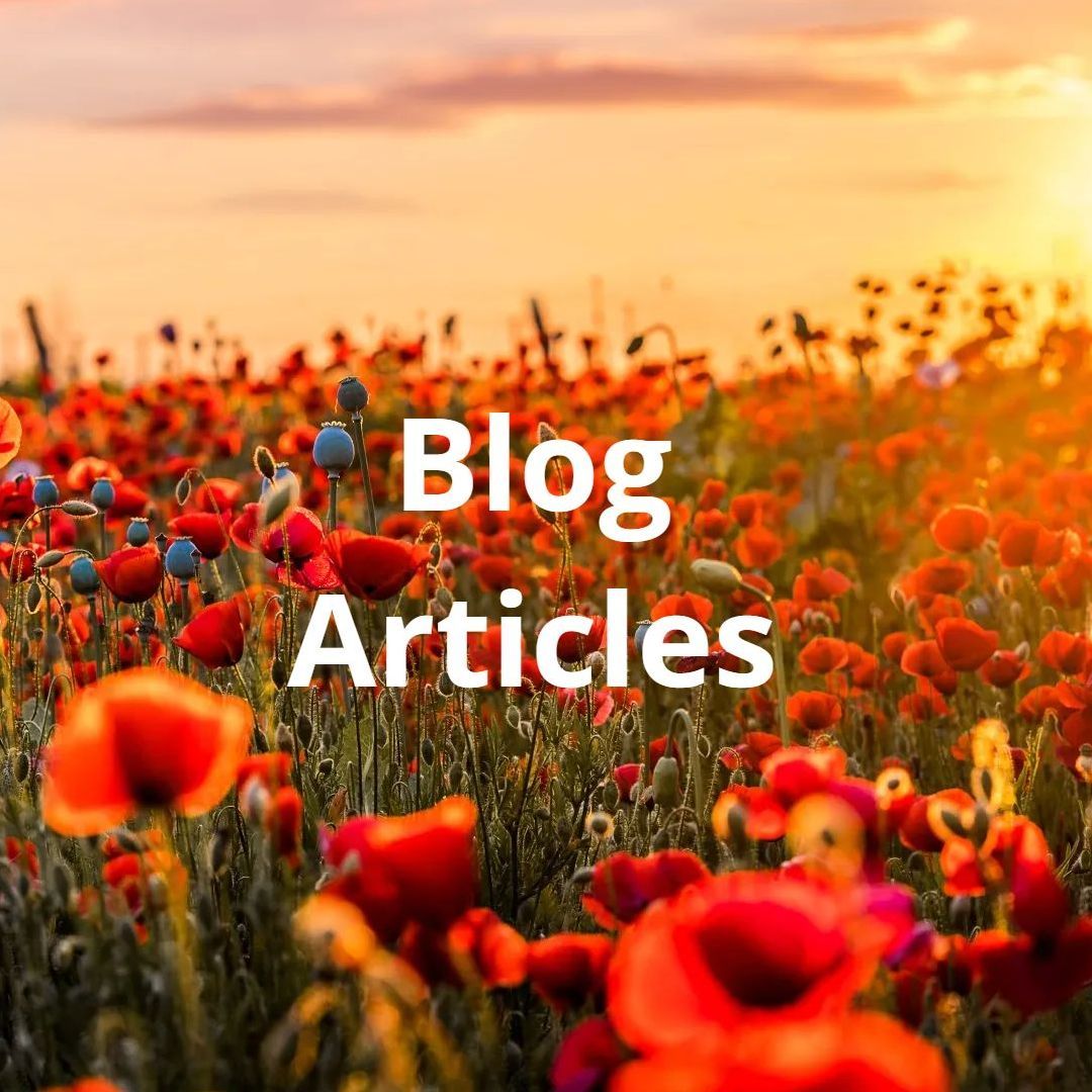 Blog Articles Image