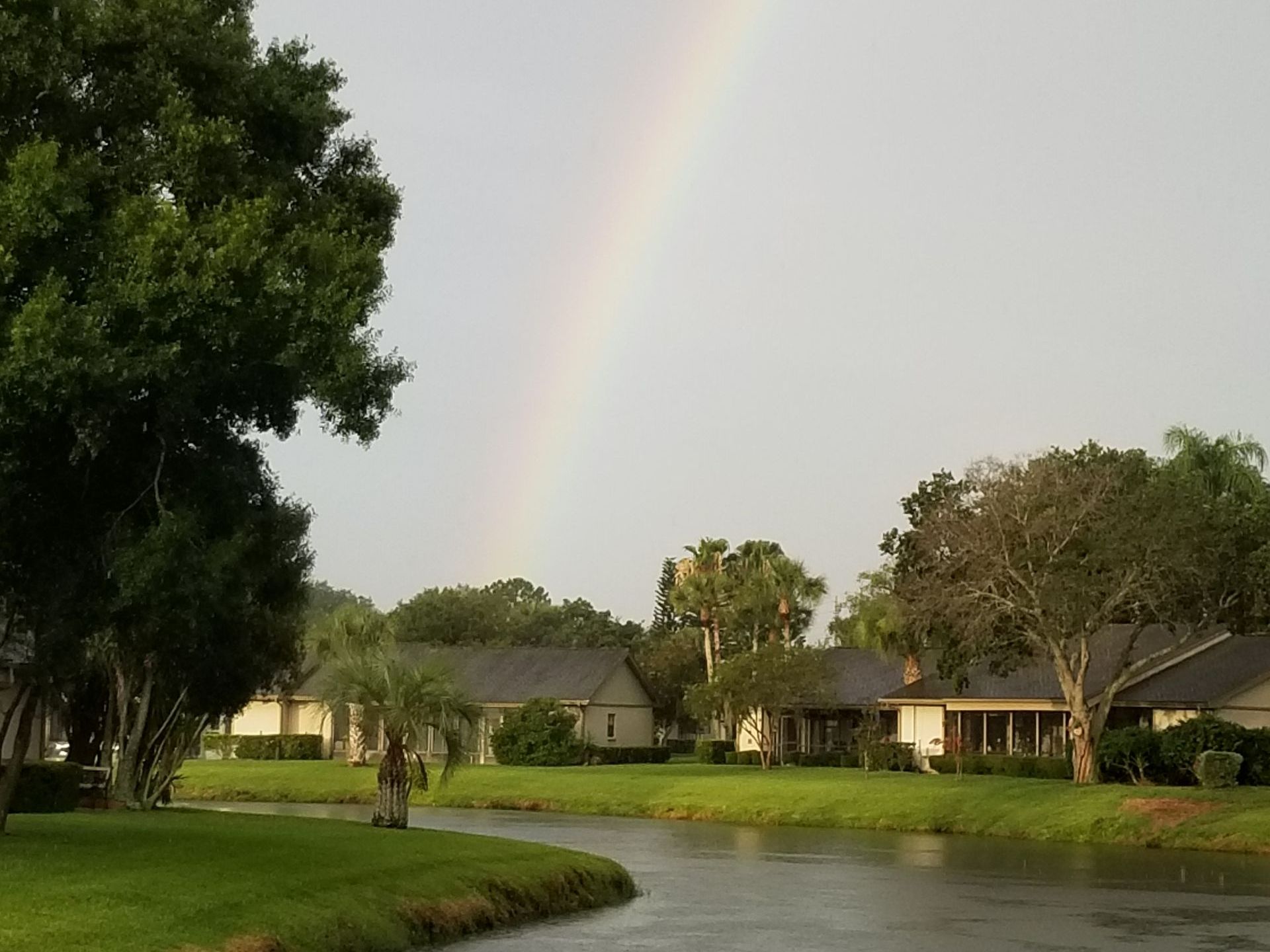 HOME [quailforest.info]