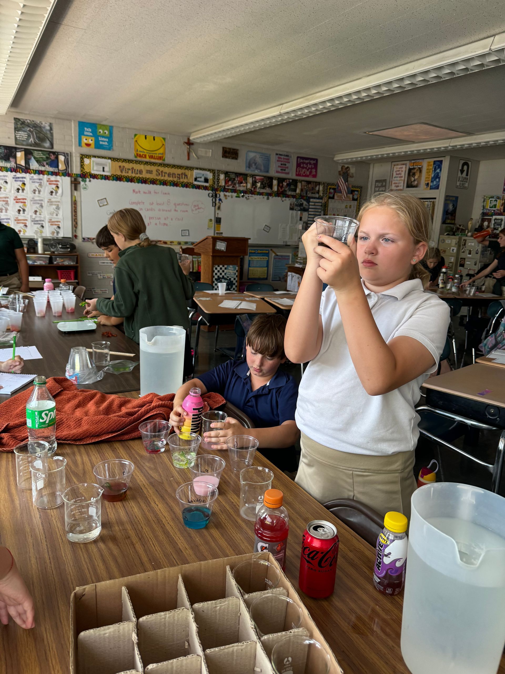 Student observing science project.