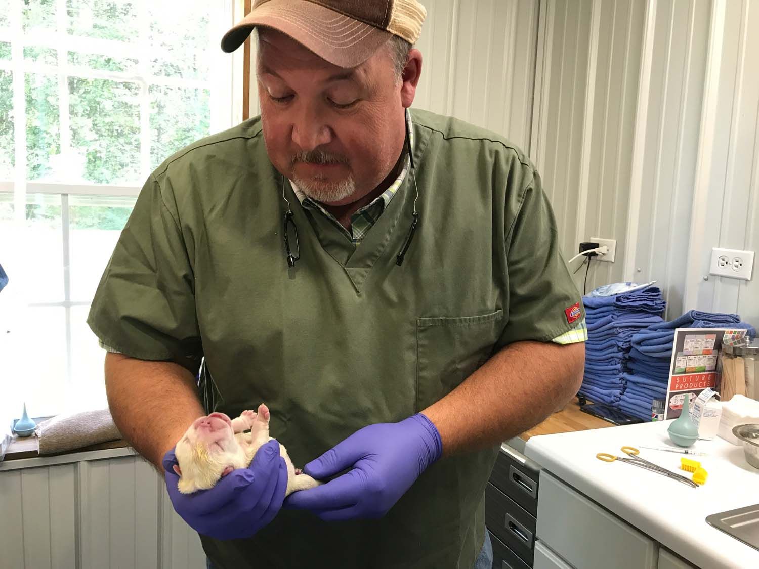 Pontotoc Animal Clinic Since 2008 Vet Clinic in Pontotoc, MS