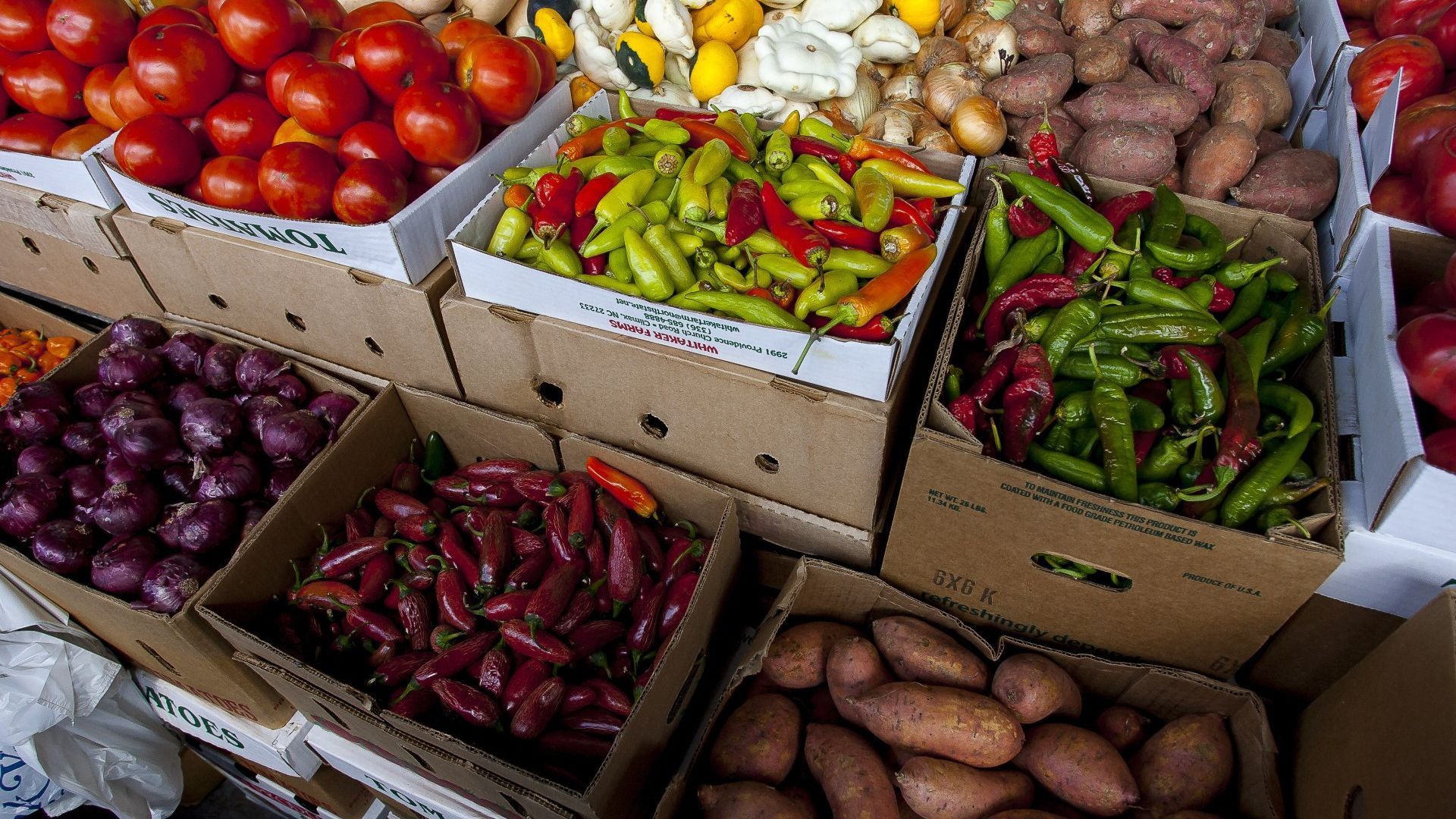 Produce boxes filled with tomatoes, peppers, onions, and sweet potatoes at a market.