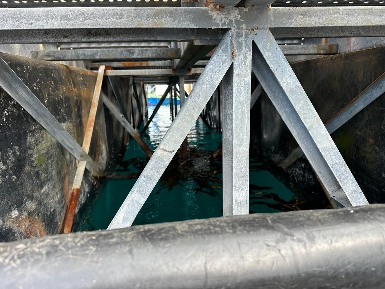 Bajo una estructura metálica con vigas oxidadas y tirantes diagonales sobre agua verde