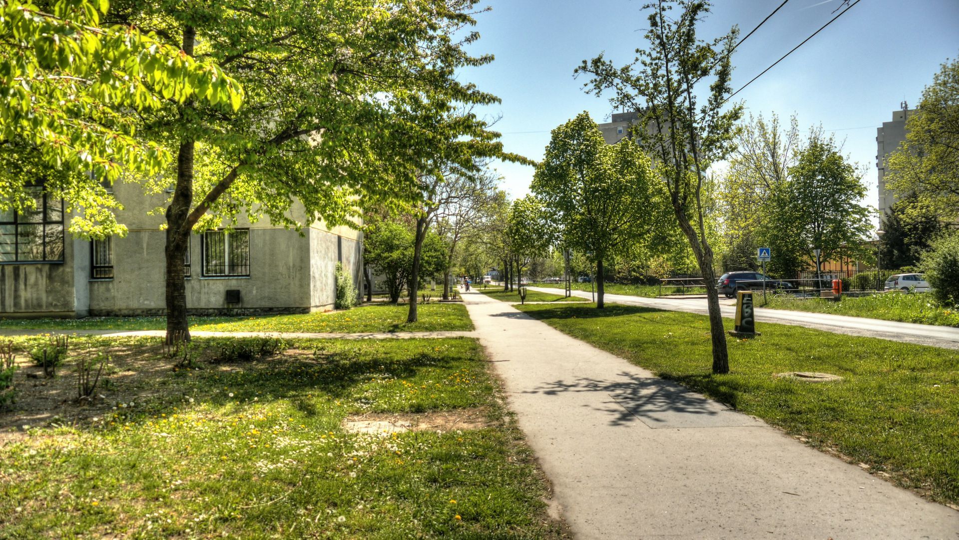 Sunny park path beside a white building, with green trees, grass, and overhead power lines.