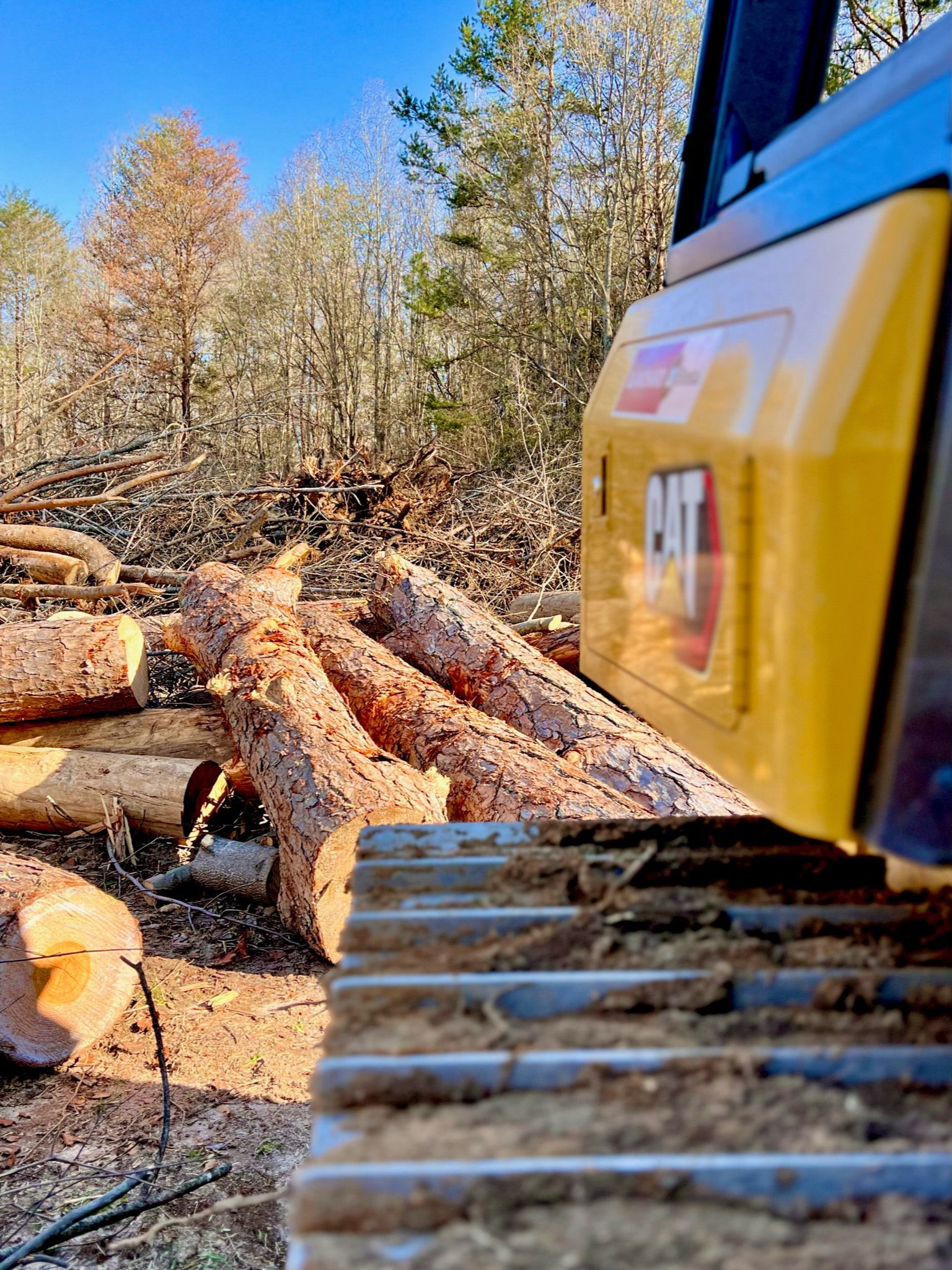 A bulldozer is cutting down a pile of logs in the woods.