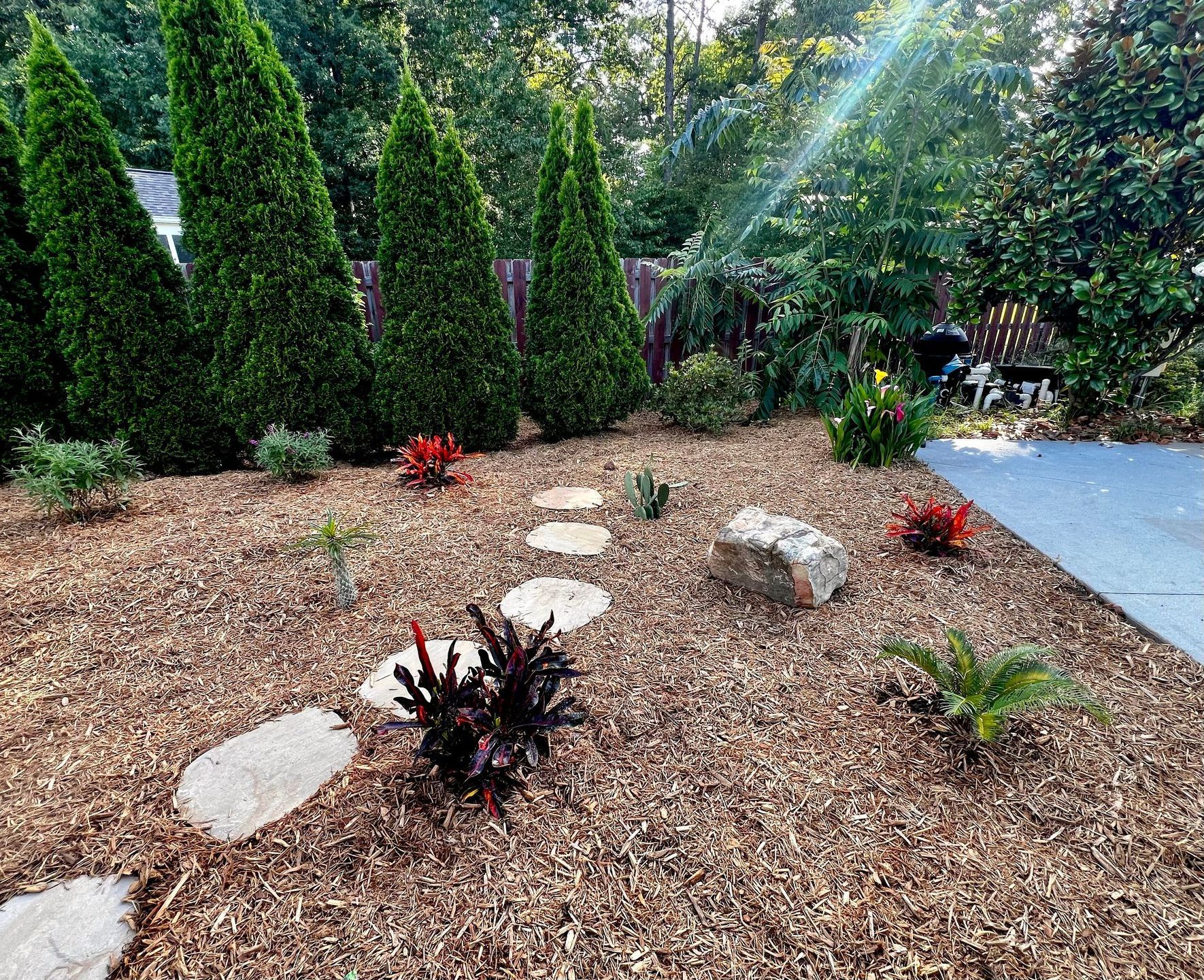 A garden filled with lots of plants and rocks.