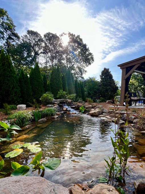 A pond with a gazebo in the background and trees in the background