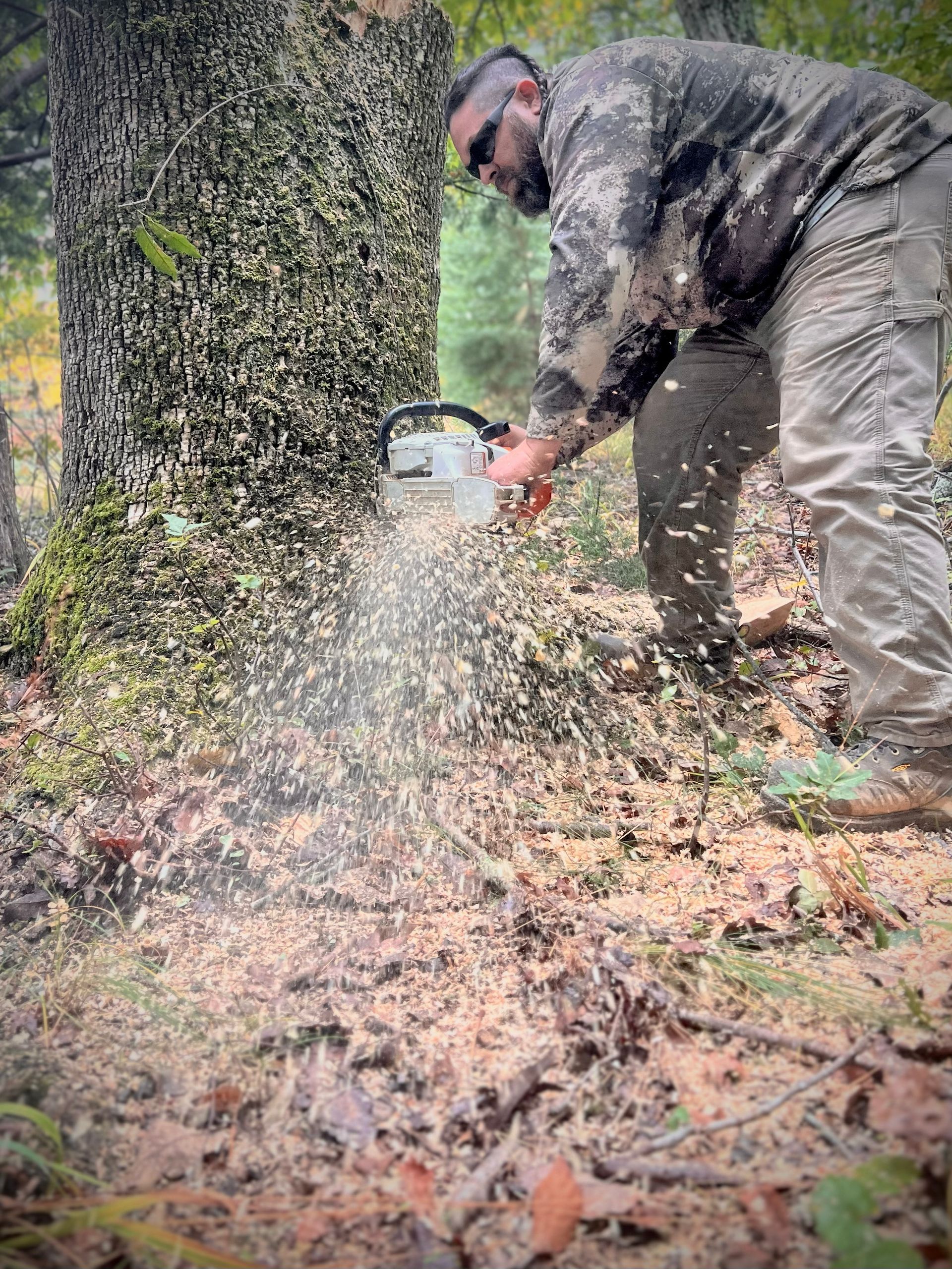 A man is cutting a tree with a chainsaw in the woods.