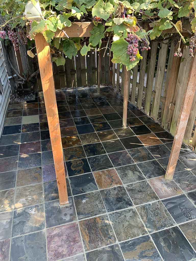 A wooden pergola with grapes growing underneath it.
