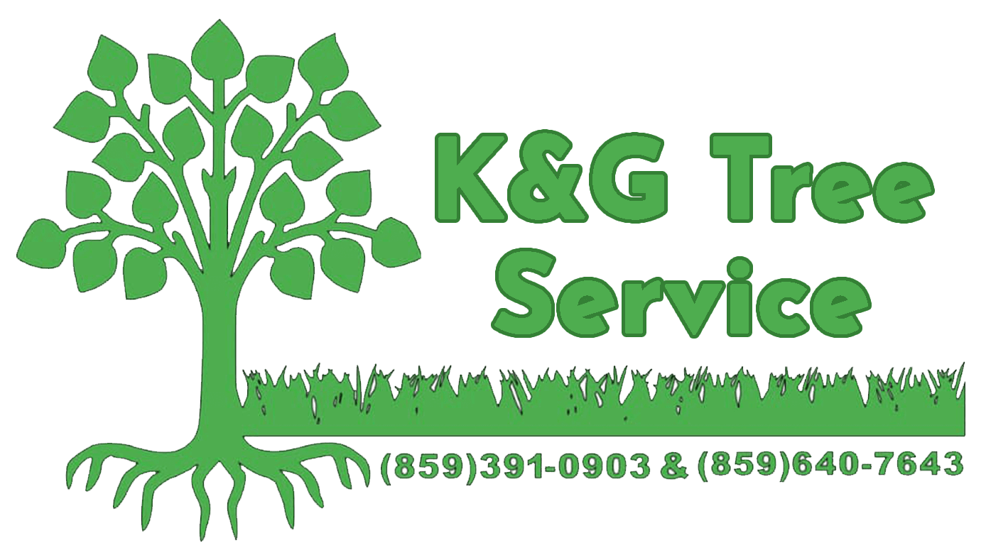 K&G Tree Service Expert Tree Company Serving Union, Burlington