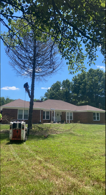 K&G Tree Service photos