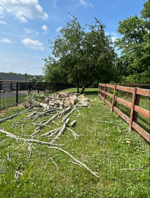 K&G Tree Service photos