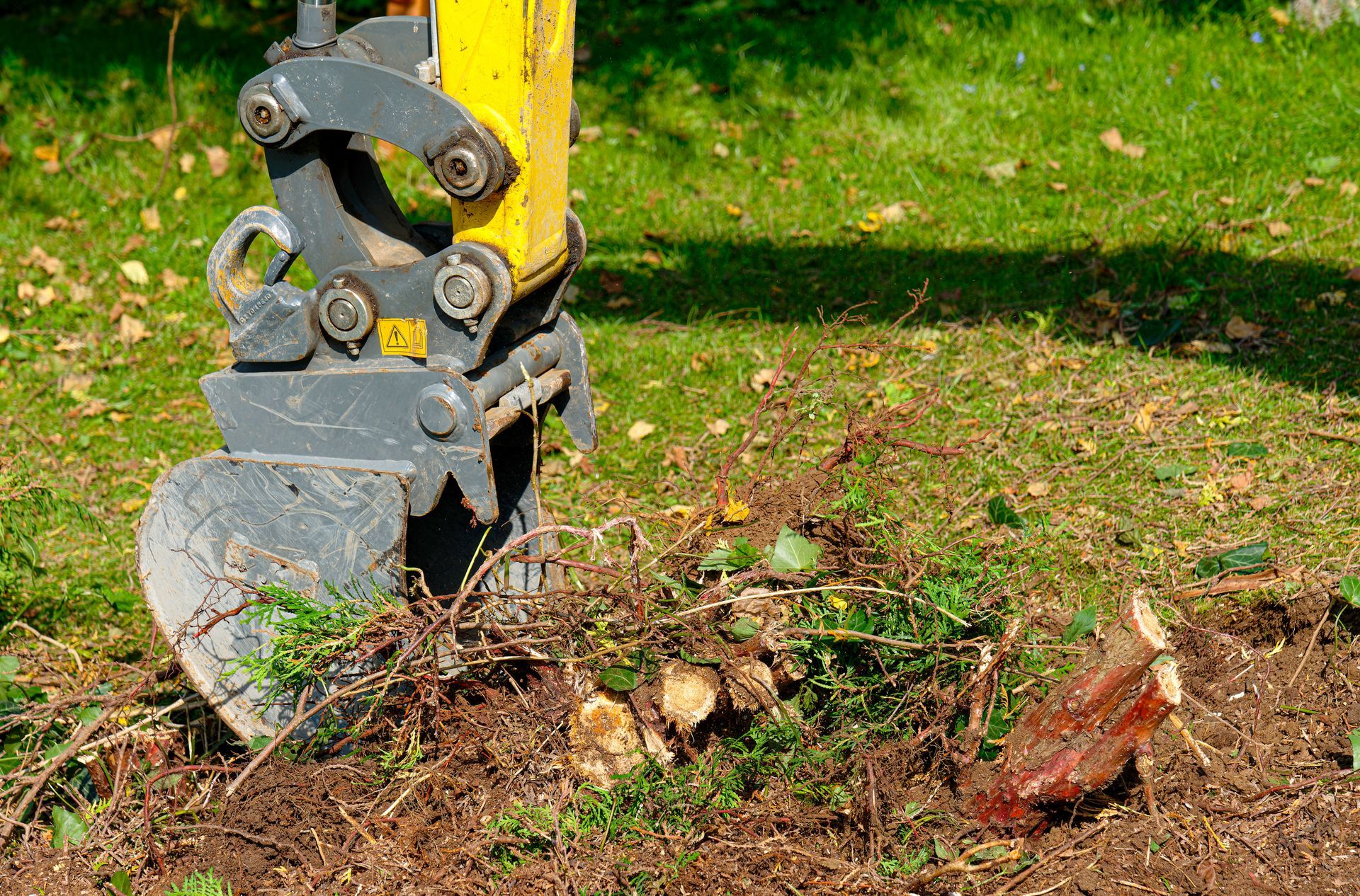 Tractor skid steers were used to uproot trees