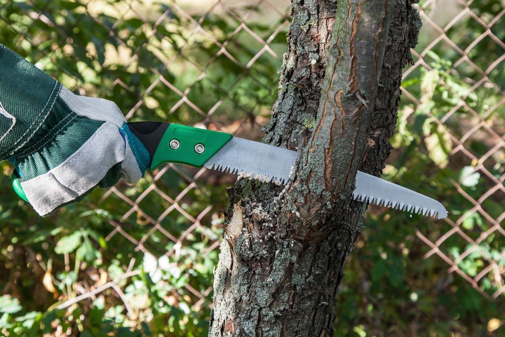 A Gloved Hand Sawing a Tree Branch With a Hand Saw Outdoors — Bennett's Tree Service in Redhead, NSW