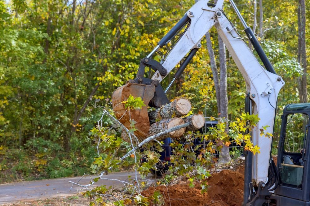 Excavator Lifting Tree Logs and Branches — Bennett's Tree Service in Lake Macquarie, NSW