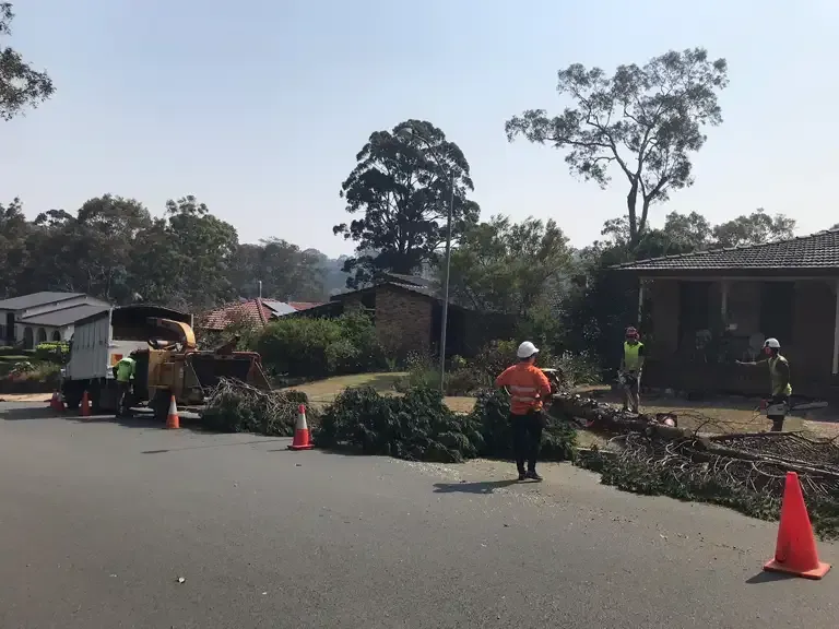 Crews Clearing Debris From a Road in Front of Homes — Bennett's Tree Service in Redhead, NSW