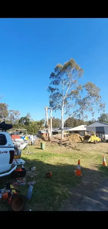 Tree Removal in Progress — Bennett's Tree Service in Jewells, NSW