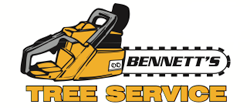 Bennett’s Tree Service: Qualified Arborist in Newcastle Bennett’s Tree Service: Qualified Arborist in Newcastle