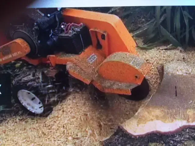 Trimming Equipment  — Bennett's Tree Service in Redhead, NSW
