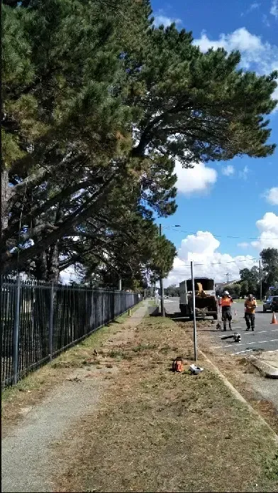 Worker Removing Trees — Bennett's Tree Service in Redhead, NSW