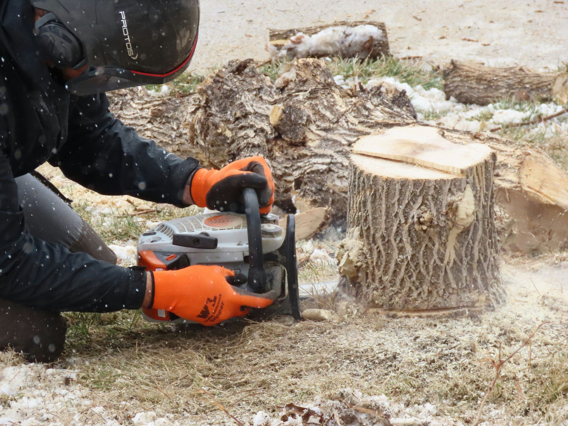 Person using a chainsaw to cut a tree stump outdoors, wearing protective gear — Bennett's Tree Service in Redhead, NSW
