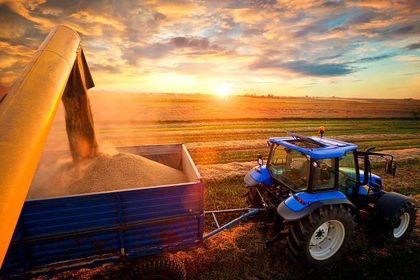 Tractor