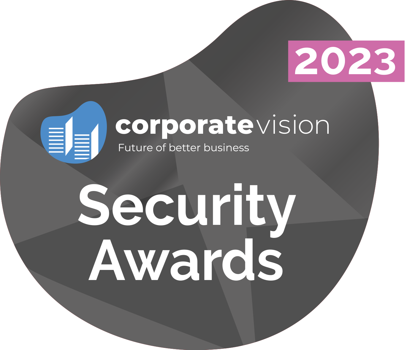 2022 Corporate Vision Security Awards Winner
