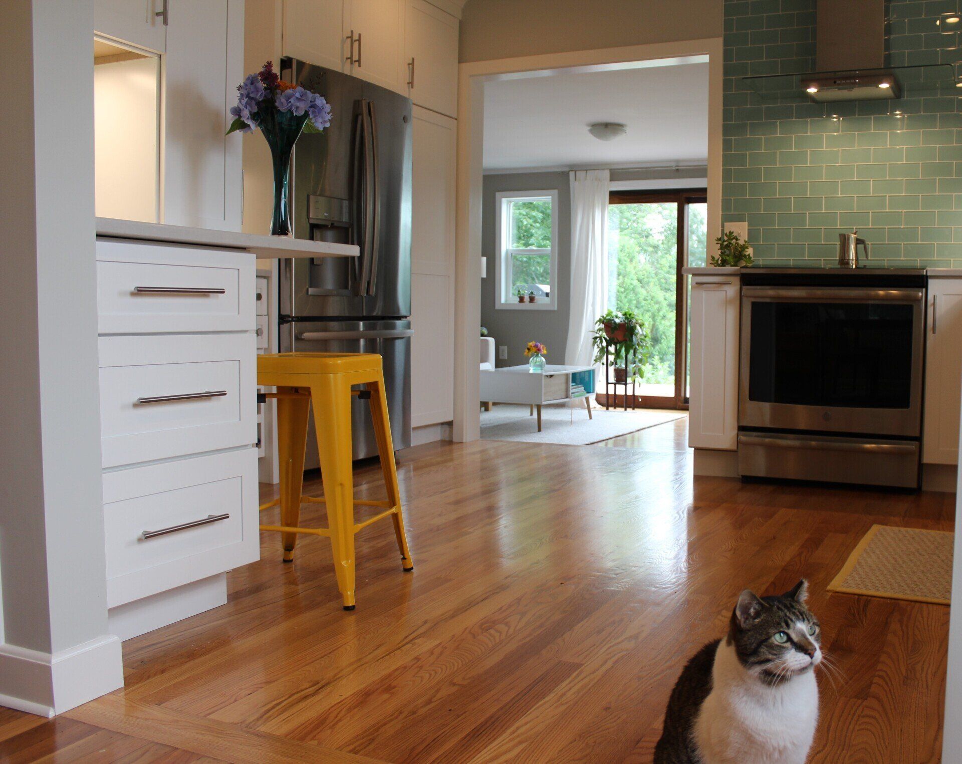 a cat standing in a kitchen next to a yellow stool