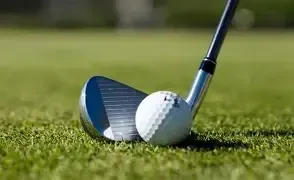 Midsized Grips