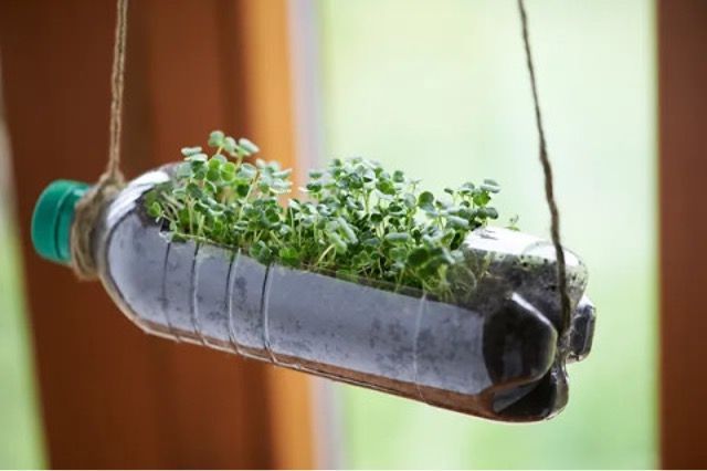 Oud plastic waterfles dat hangt en door upsycling een nieuw bestaan waar plantjes uit groeien