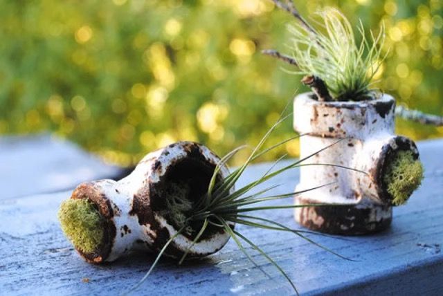 Upsycling: 2 regenpijpen met planten erin