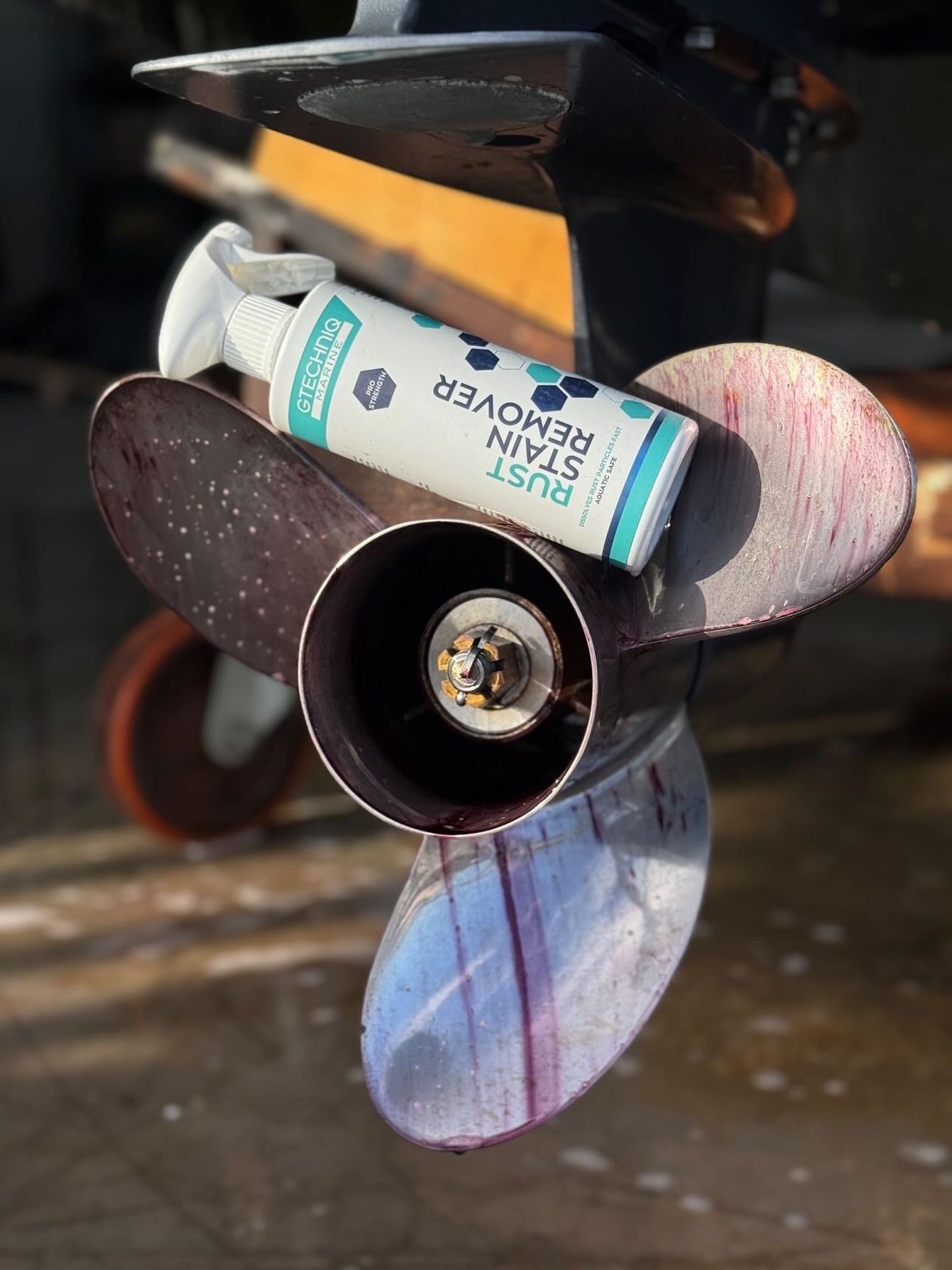 Inline skate wheel and bearing assembly with a tube of adhesive or lubricant resting on it