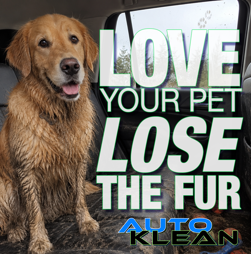 Golden retriever in a car after grooming, with text: “Love your pet, lose the fur” and “Auto Klean.”
